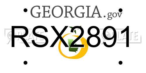 RSX2891 Georgia License Plate