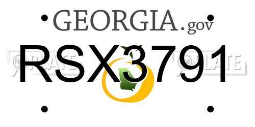 RSX3791 Georgia License Plate