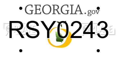 RSY0243 Georgia License Plate
