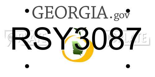 RSY3087 Georgia License Plate