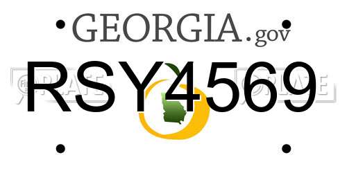 RSY4569 Georgia License Plate