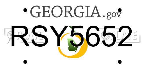 RSY5652 Georgia License Plate
