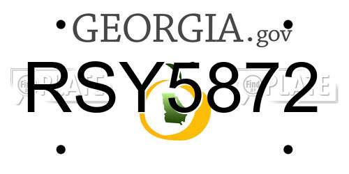 RSY5872 Georgia License Plate