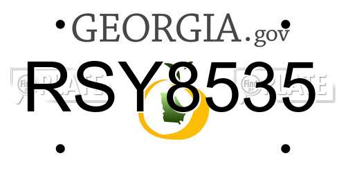 RSY8535 Georgia License Plate
