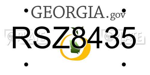 RSZ8435 Georgia License Plate