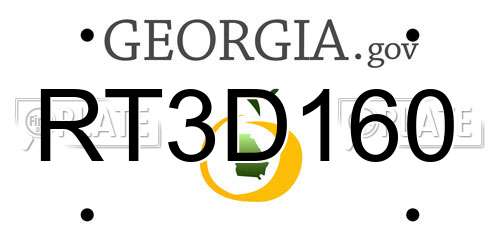 RT3D160 Georgia License Plate