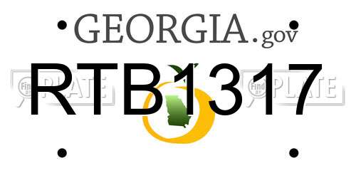 RTB1317 Georgia License Plate
