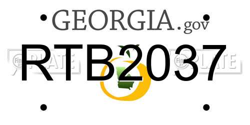 RTB2037 Georgia License Plate