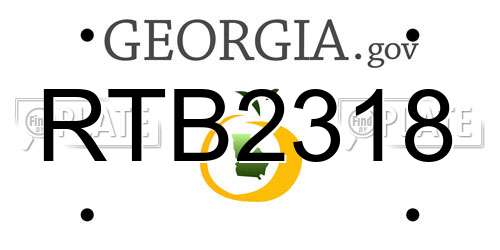 RTB2318 Georgia License Plate
