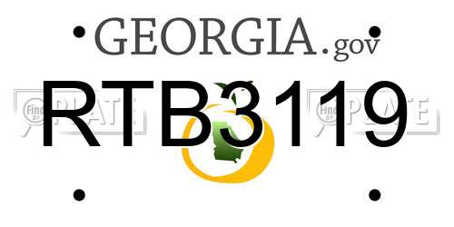 RTB3119 Georgia License Plate