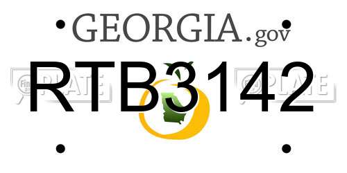 RTB3142 Georgia License Plate