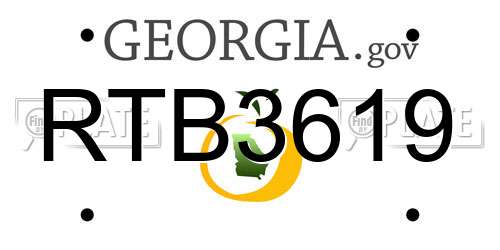 RTB3619 Georgia License Plate
