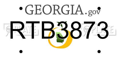 RTB3873 Georgia License Plate