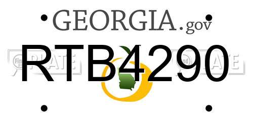 RTB4290 Georgia License Plate