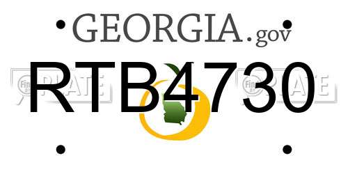 RTB4730 Georgia License Plate