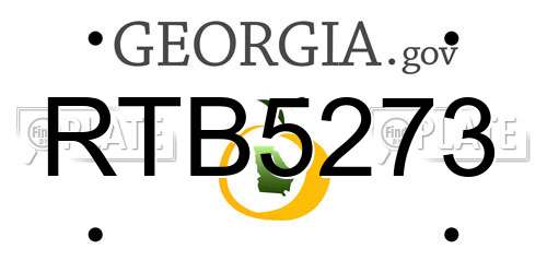 RTB5273 Georgia License Plate