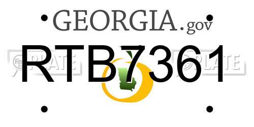 RTB7361 Georgia License Plate