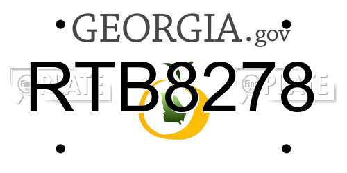 RTB8278 Georgia License Plate