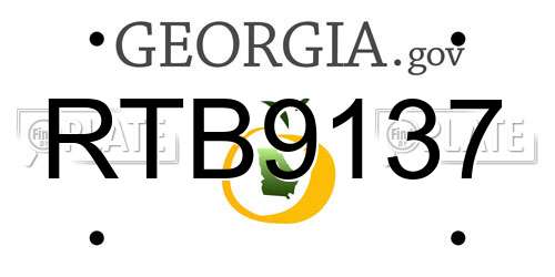 RTB9137 Georgia License Plate