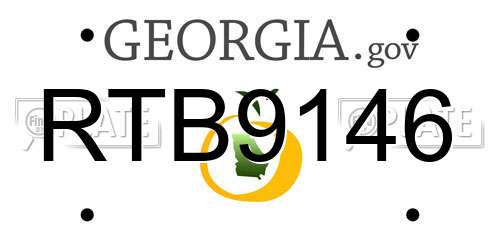 RTB9146 Georgia License Plate