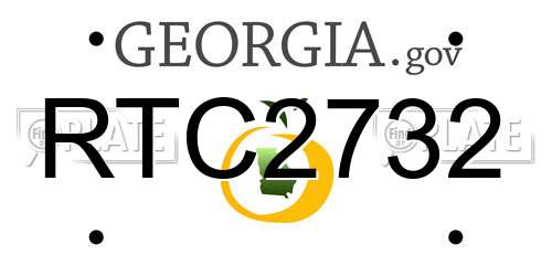 RTC2732 Georgia License Plate