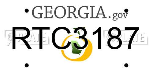 RTC3187 Georgia License Plate