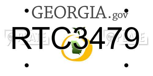 RTC3479 Georgia License Plate