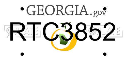 RTC3852 Georgia License Plate
