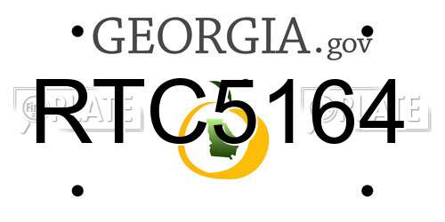 RTC5164 Georgia License Plate