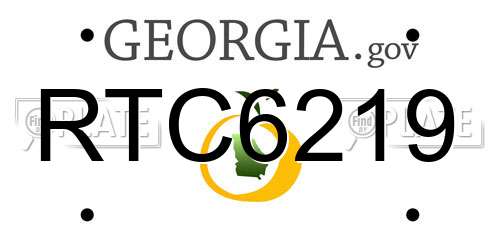 RTC6219 Georgia License Plate