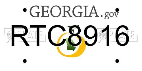 RTC8916 Georgia License Plate
