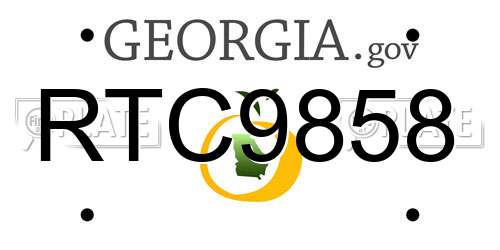 RTC9858 Georgia License Plate