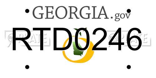 RTD0246 Georgia License Plate