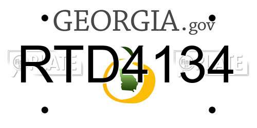 RTD4134 Georgia License Plate