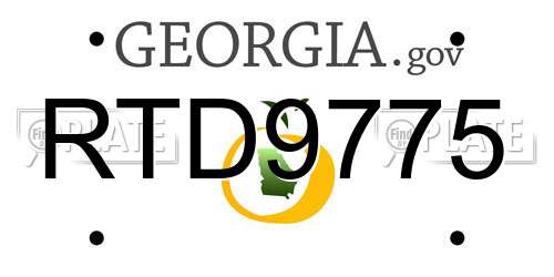 RTD9775 Georgia License Plate