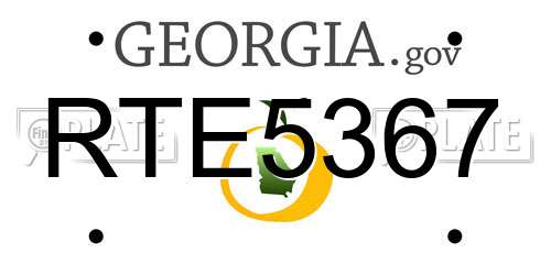 RTE5367 Georgia License Plate