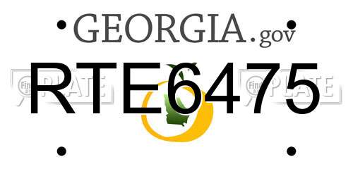 RTE6475 Georgia License Plate