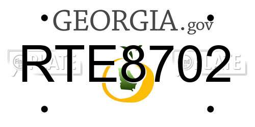 RTE8702 Georgia License Plate
