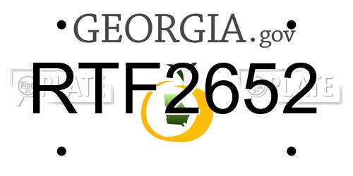 RTF2652 Georgia License Plate