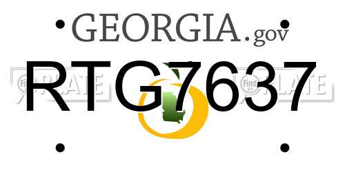 RTG7637 Georgia License Plate