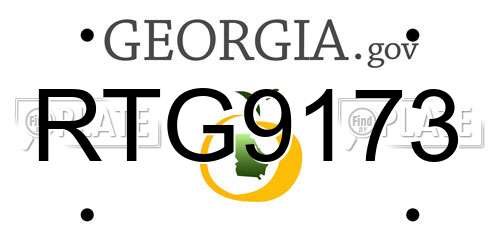 RTG9173 Georgia License Plate