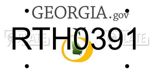RTH0391 Georgia License Plate