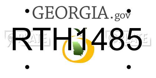 RTH1485 Georgia License Plate