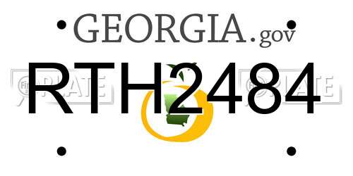 RTH2484 Georgia License Plate