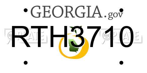 RTH3710 Georgia License Plate