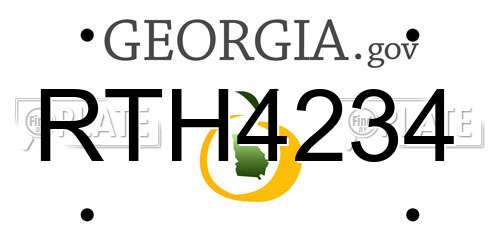 RTH4234 Georgia License Plate