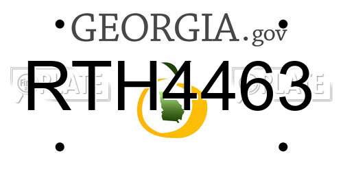 RTH4463 Georgia License Plate