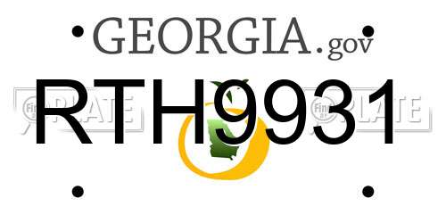 RTH9931 Georgia License Plate