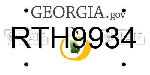 RTH9934 Georgia License Plate