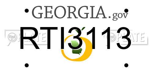 RTI3113 Georgia License Plate